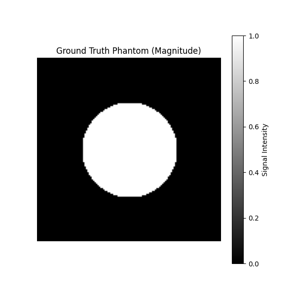 Ground Truth Phantom (Magnitude)