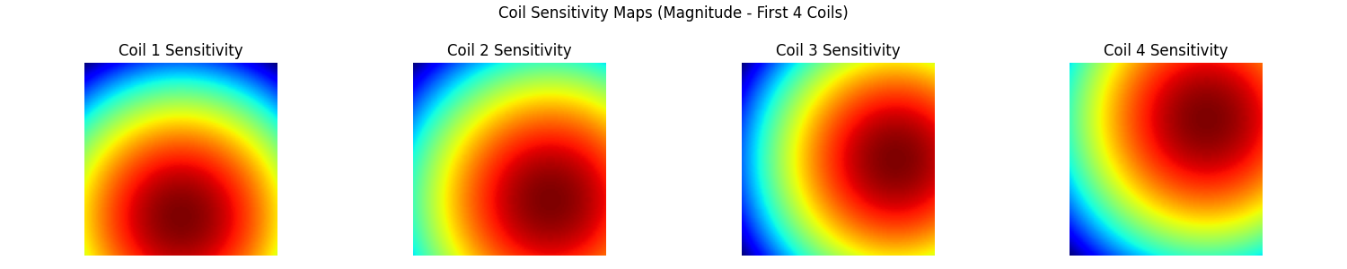 Coil Sensitivity Maps (Magnitude - First 4 Coils), Coil 1 Sensitivity, Coil 2 Sensitivity, Coil 3 Sensitivity, Coil 4 Sensitivity